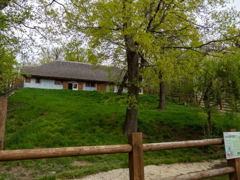 enclosure Struthioniformes