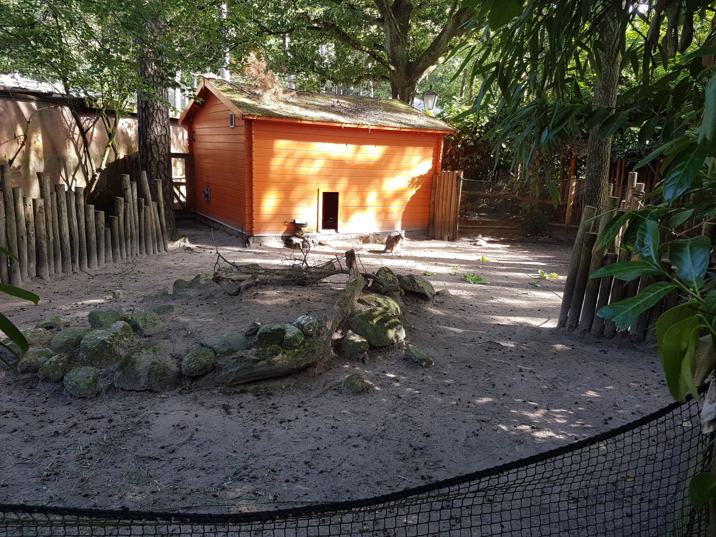 Enclosure Tammar wallaby