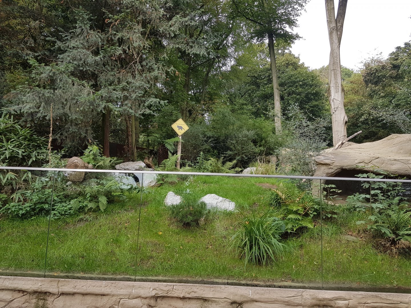 Enclosure Tasmanian devil