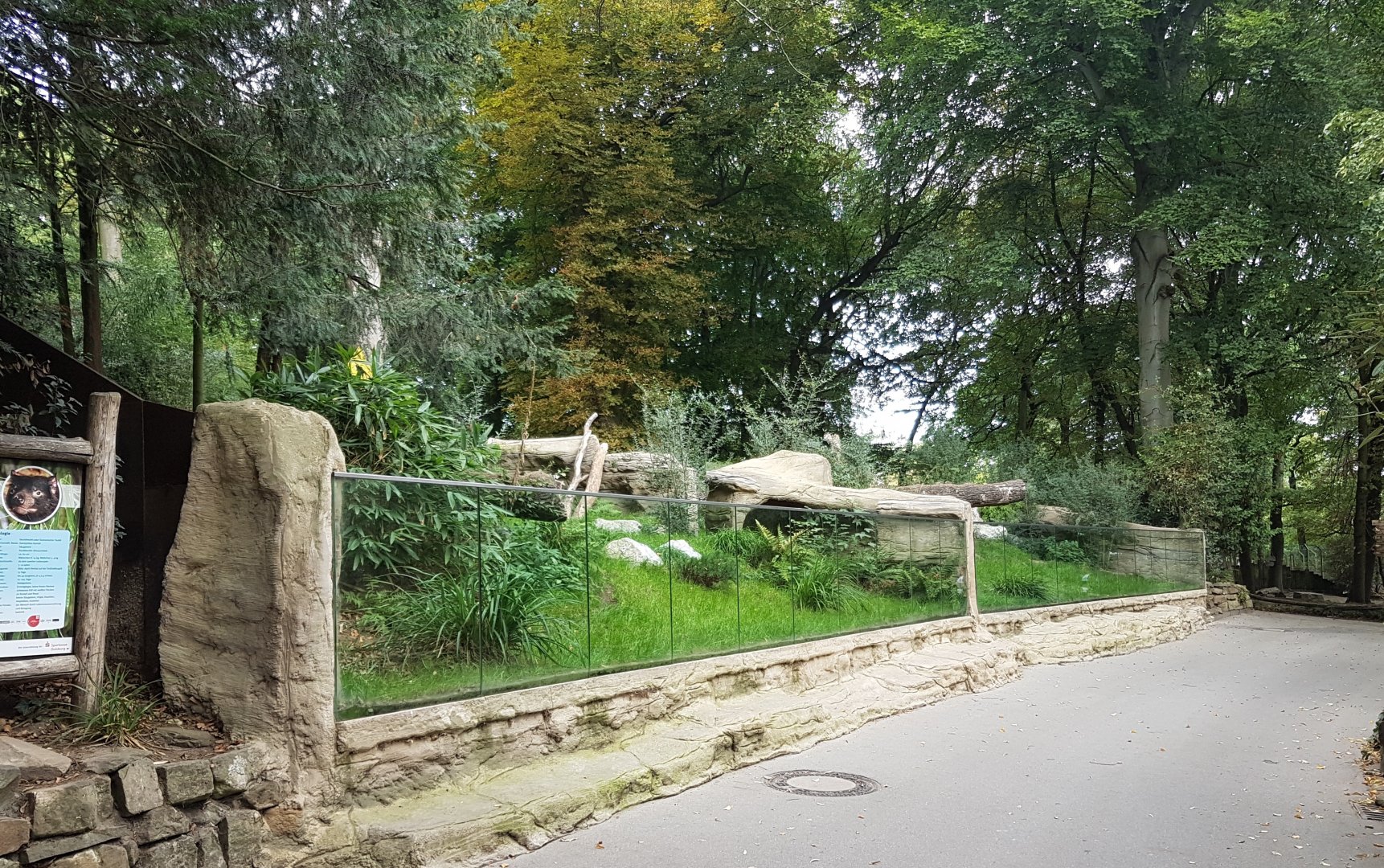 Enclosure Tasmanian devil