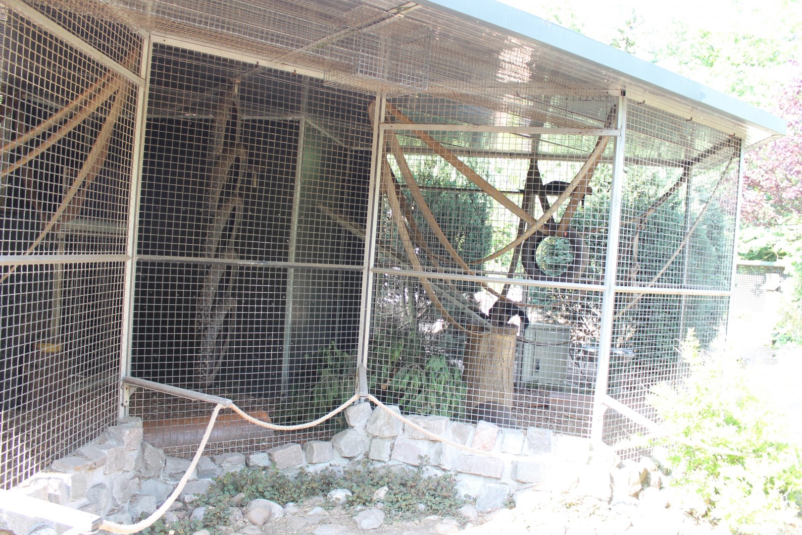 Enclosure Tayra