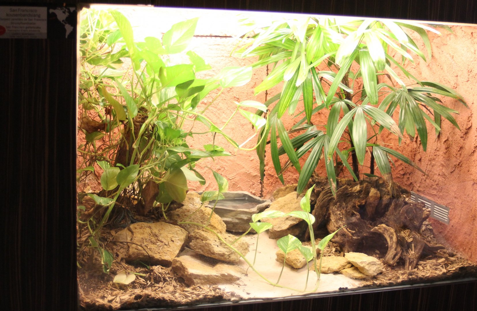 Enclosure Thamnophis sirtalis tetrataenia