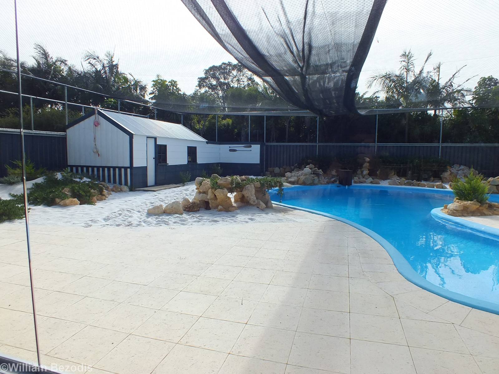 Enclosure Under Construction (I guess for Little Blue Penguins) - Caversham