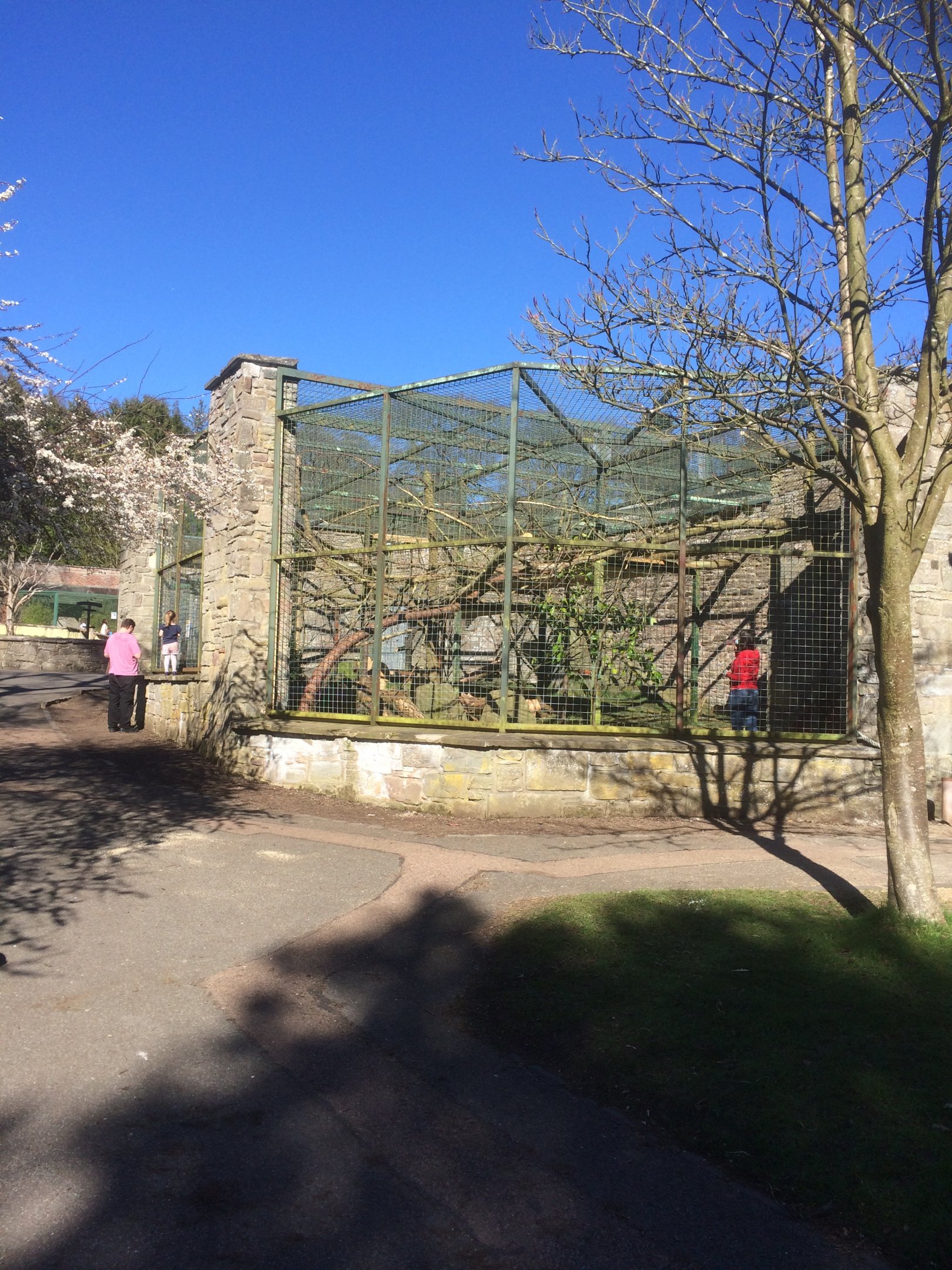 Enclosure under refurbishment