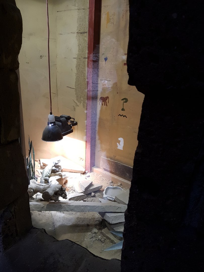 Enclosure Uromastrix