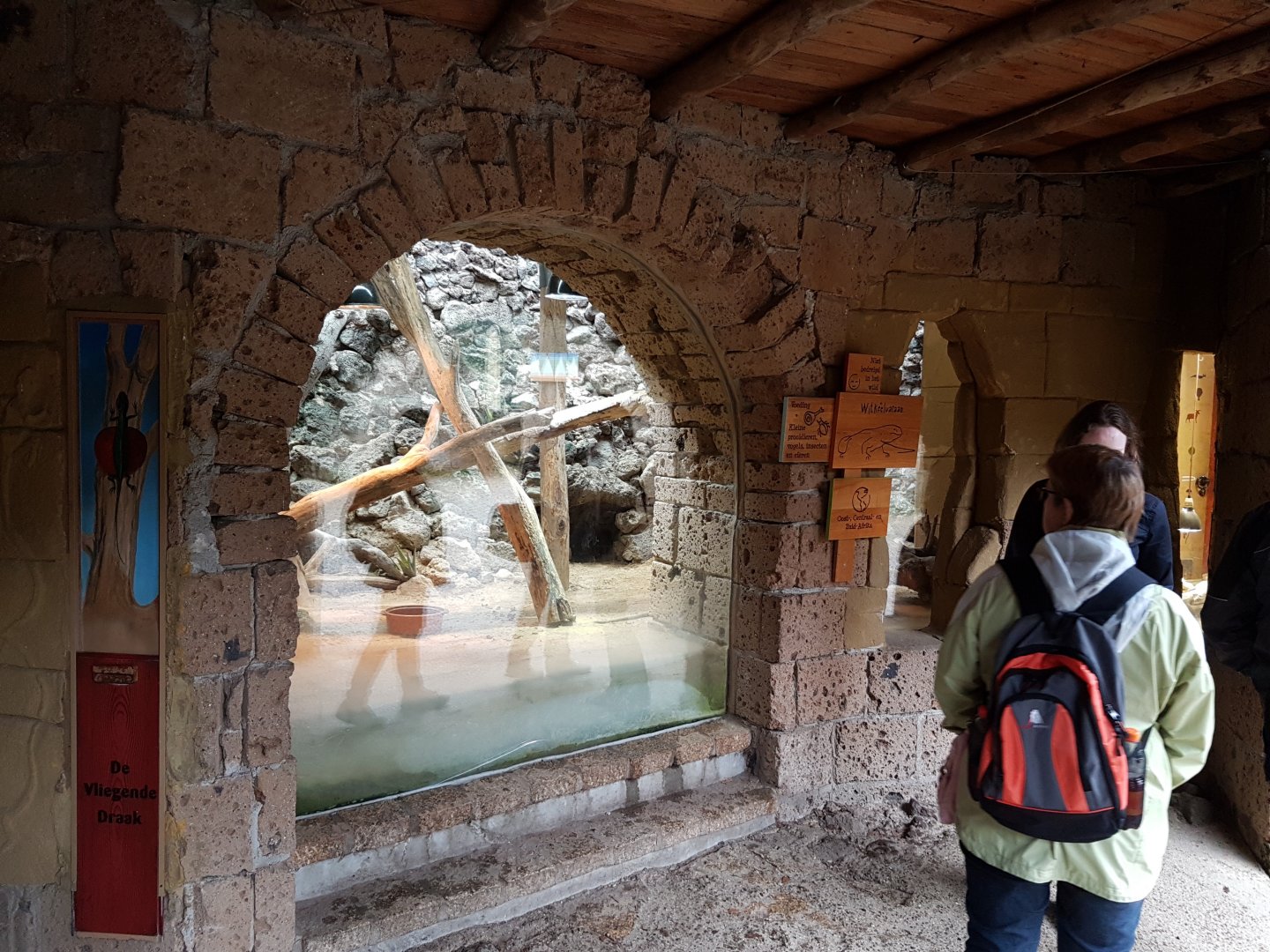 Enclosure Uromastrix