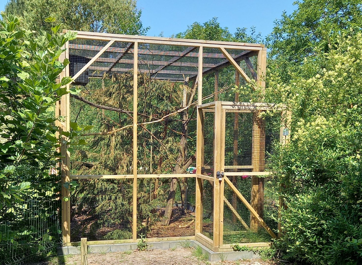 Enclosure Variegated squirrel - Sciurus variegatoides atrirufus