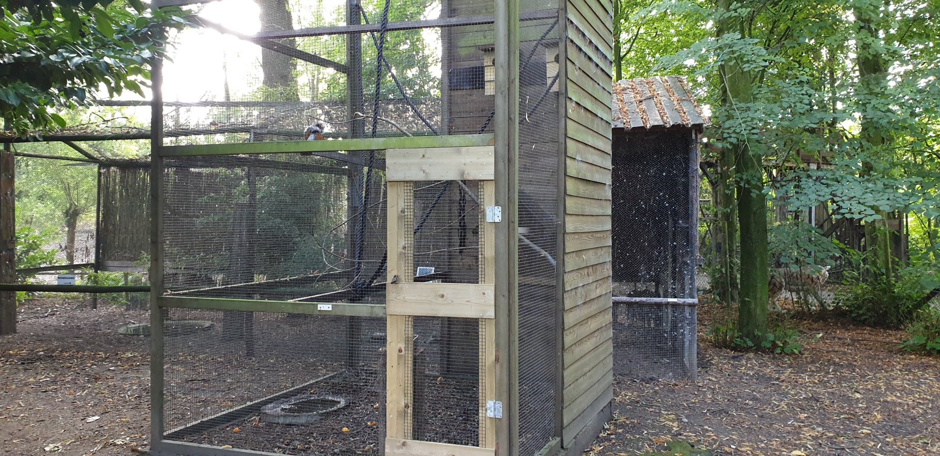 Enclosure Variegated squirrel