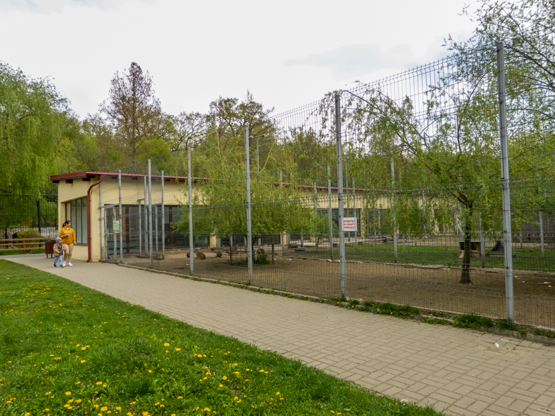 enclosure waterfowl, pelicans, Patagonian mara