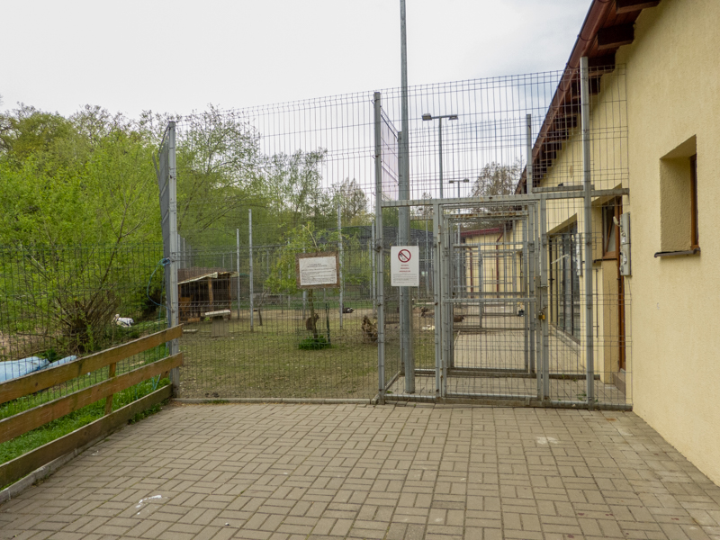 enclosure waterfowl, pelicans, Patagonian mara