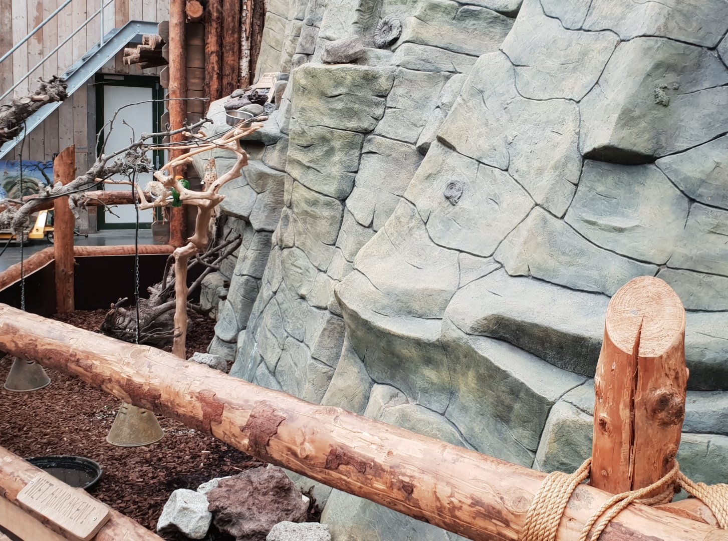 Enclosure White-bellied parrot