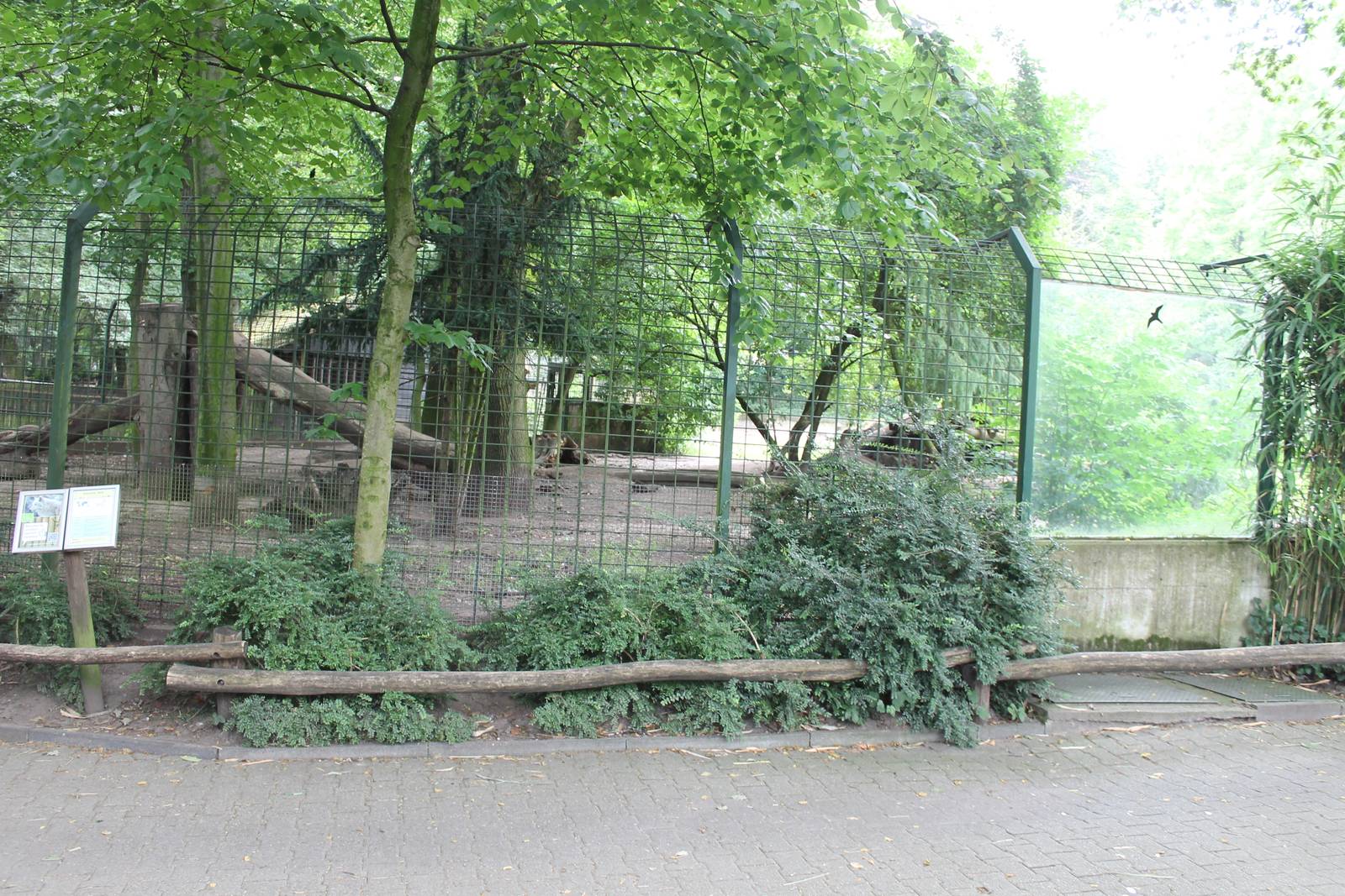 Enclosure Wolf