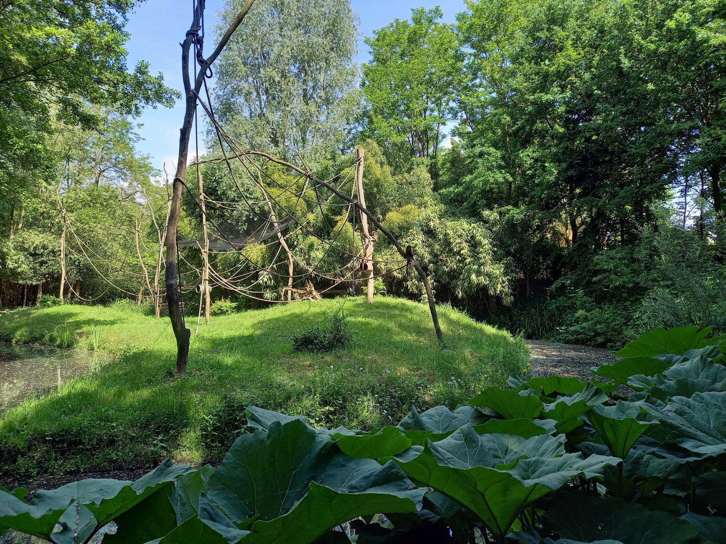 Enclosure Yellow-breasted capuchin