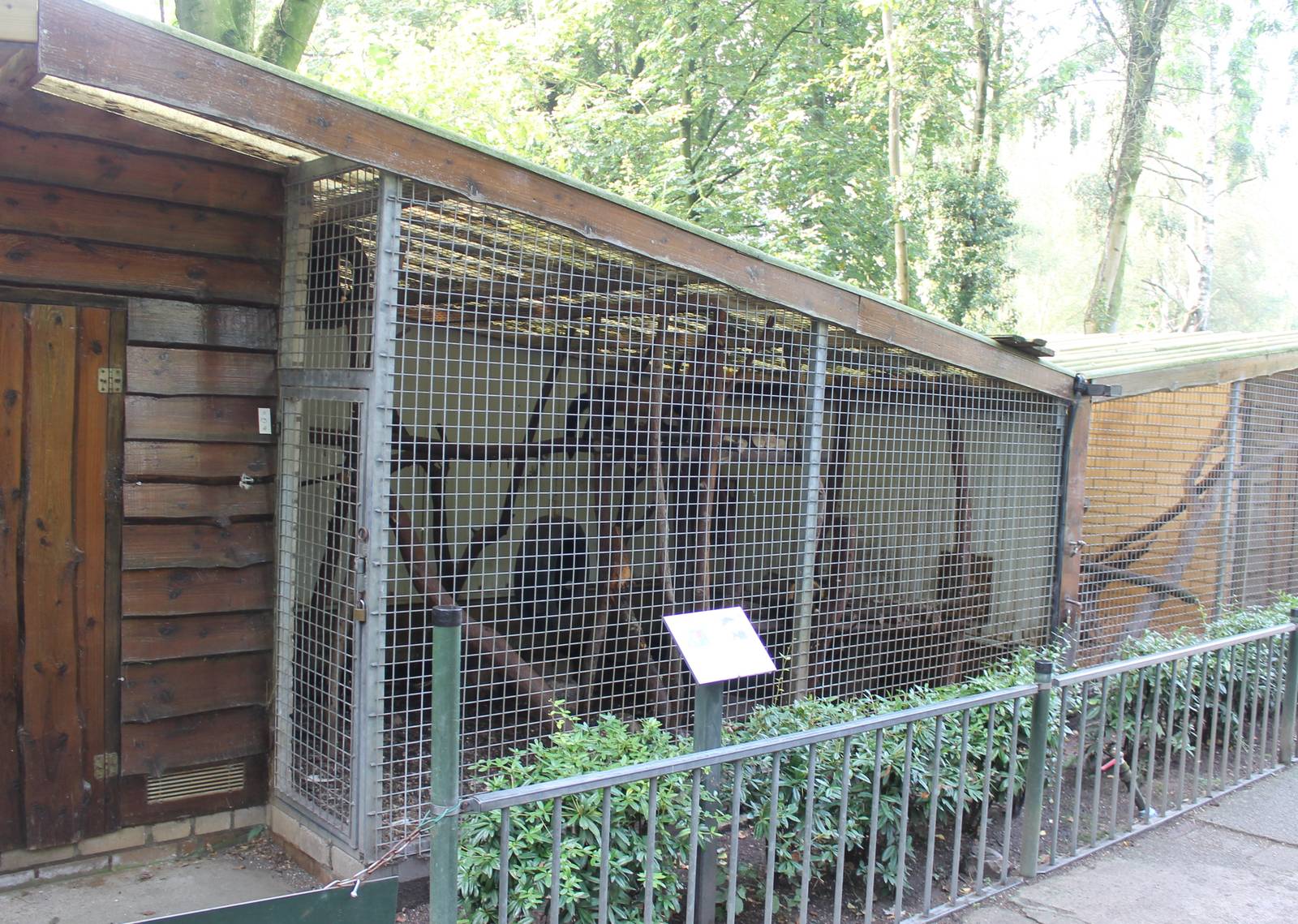 Enclosure Yellow-throated marten