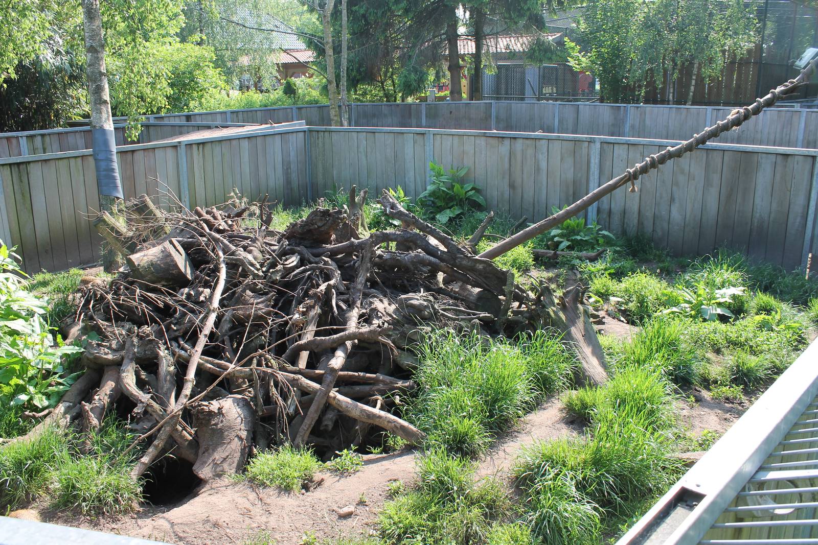 Enclosure Zebra mongoose