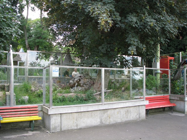 Enclosure_for_white-throated_monitors