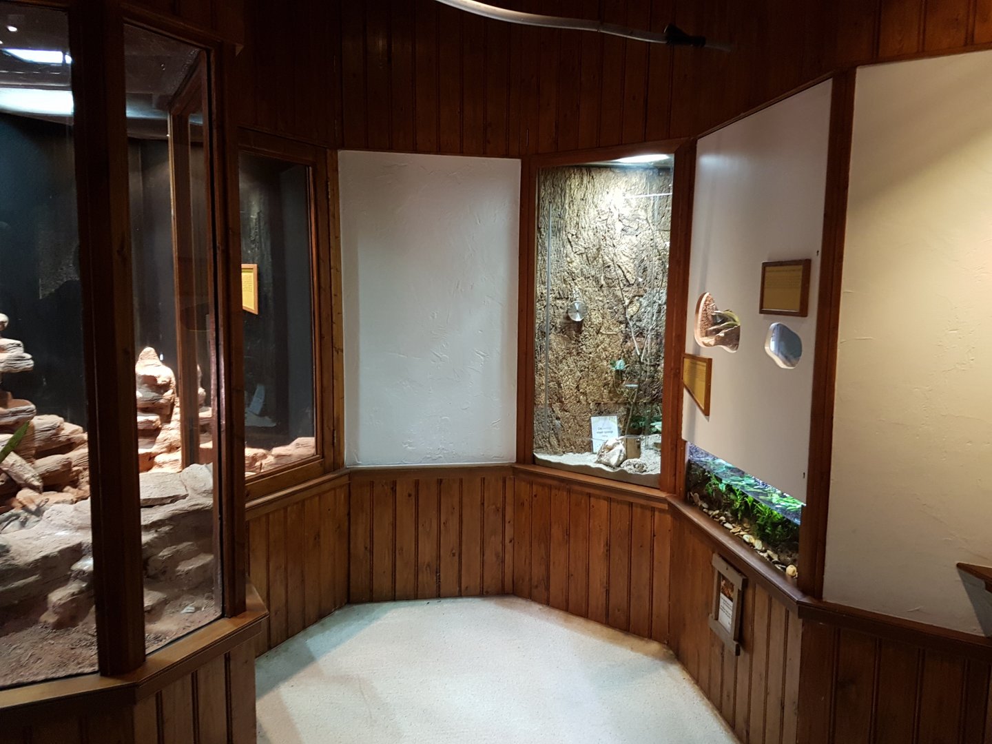 Enclosures 1000-animals-house