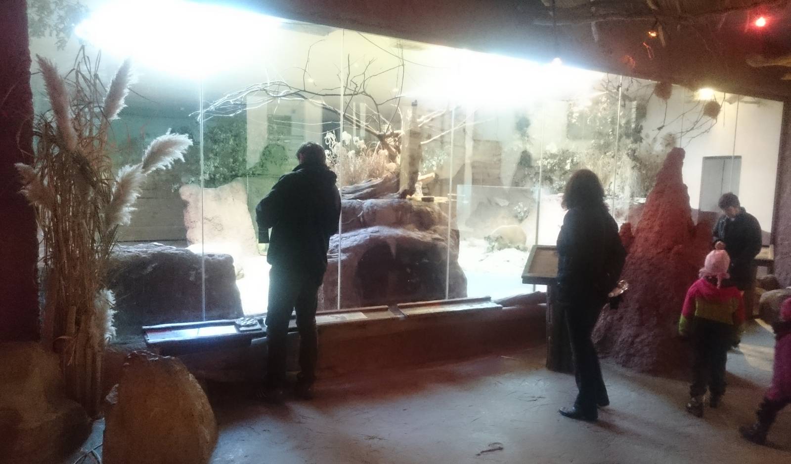 Enclosures Aardvarks and Red river hogs