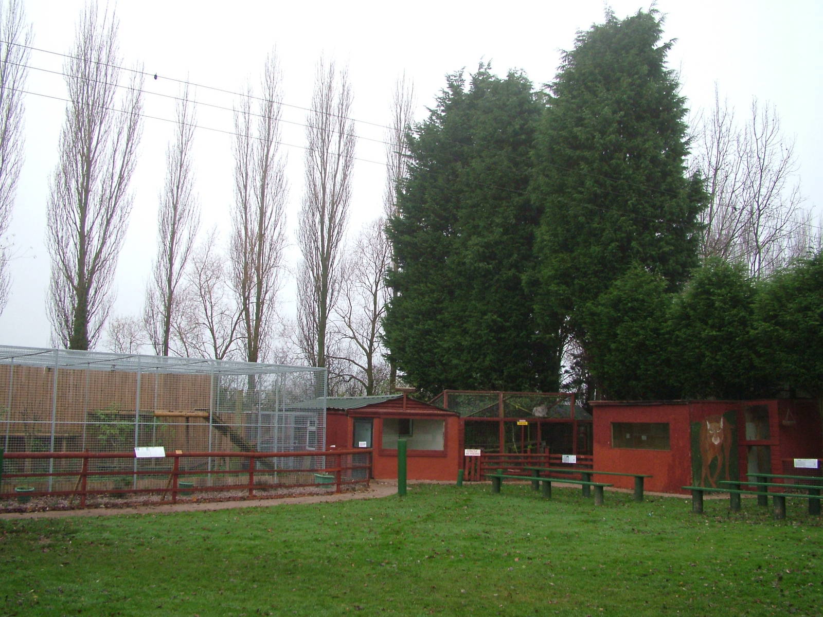 Enclosures at Gentleshaw Nov 08