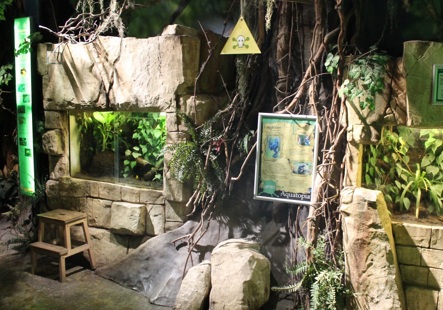 Enclosures Dart frogs