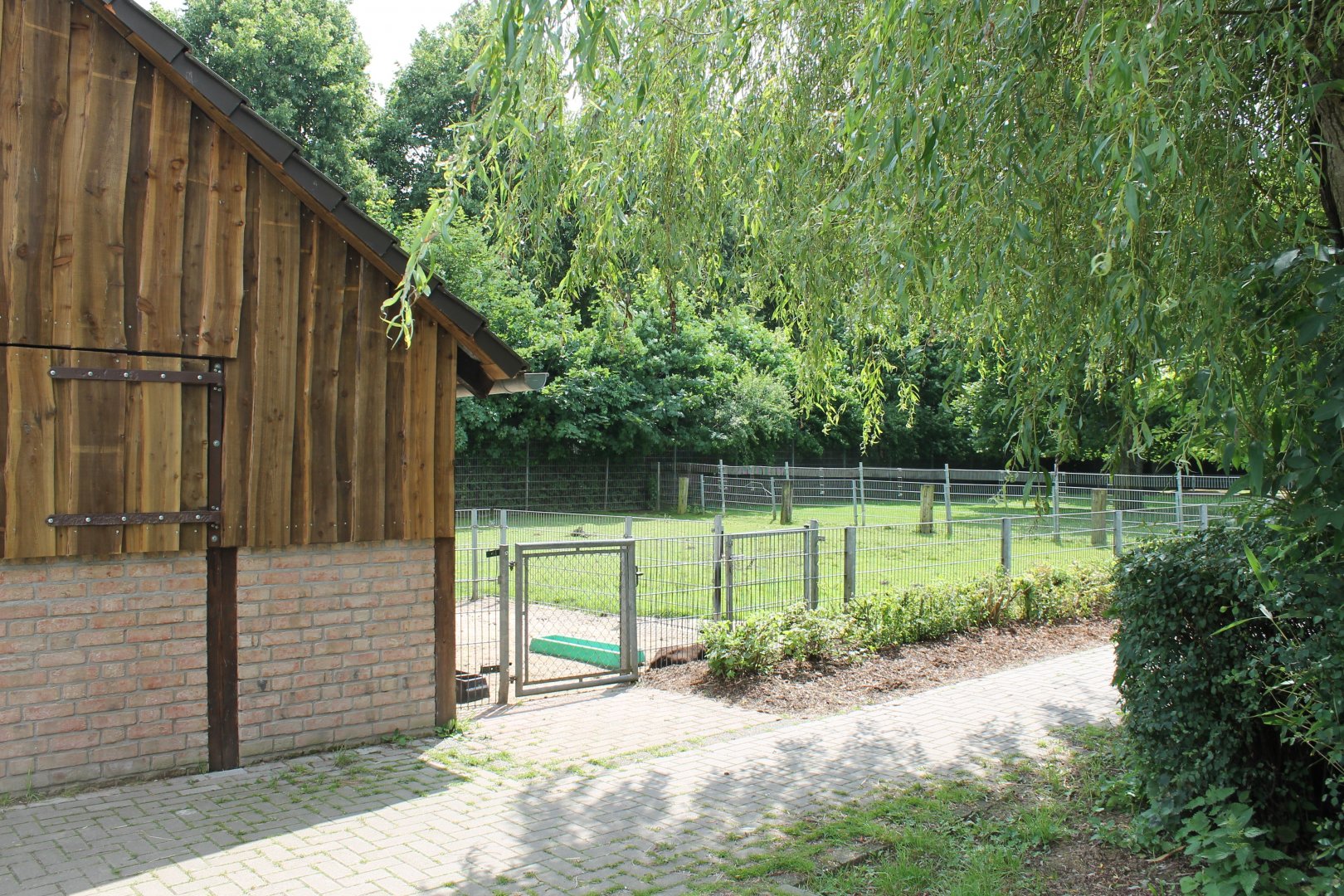 Enclosures domesticated animals