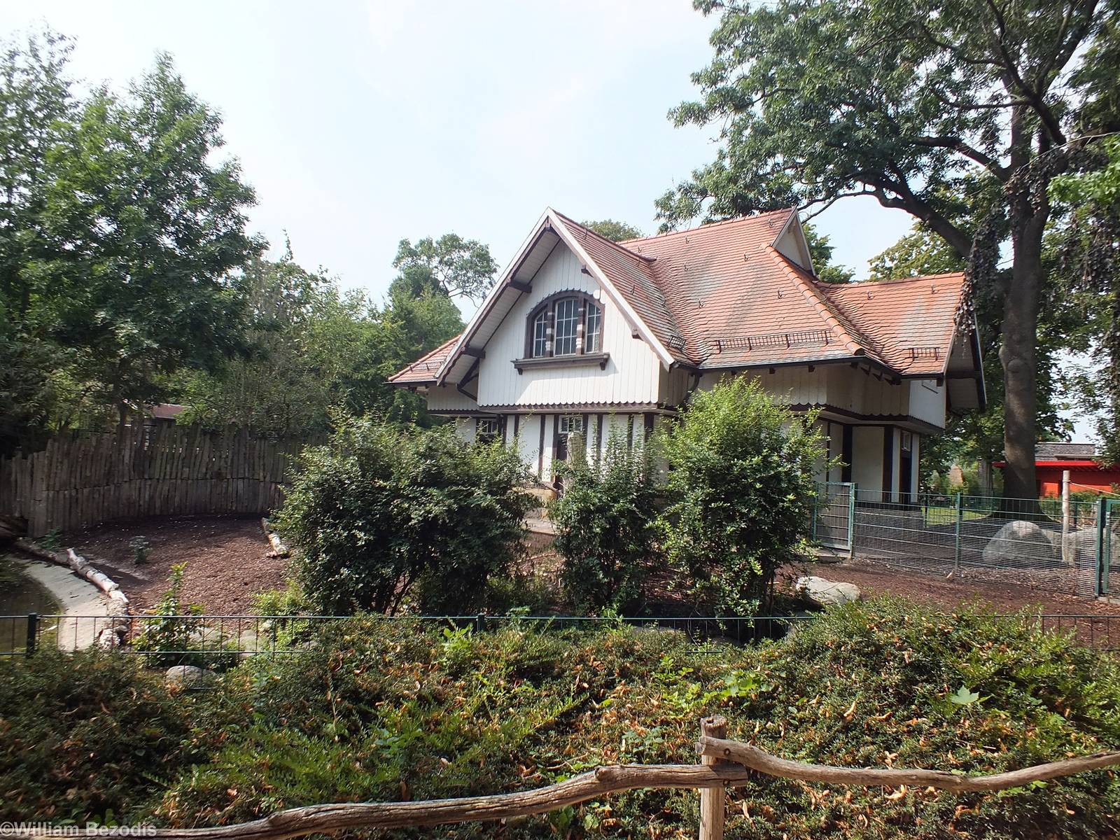 Enclosures for Anoa and Visayan Warty Pig