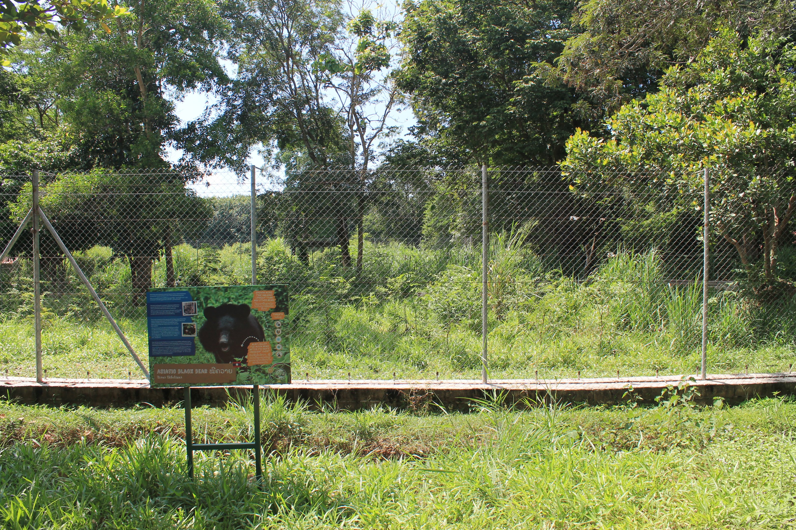 enclosures for bears