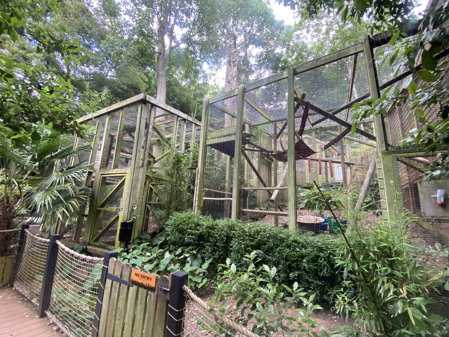 Enclosures for Binturong and Yellow-breasted capuchins 250623