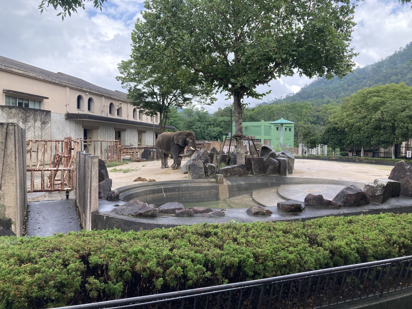 Enclosures for both African elephant species