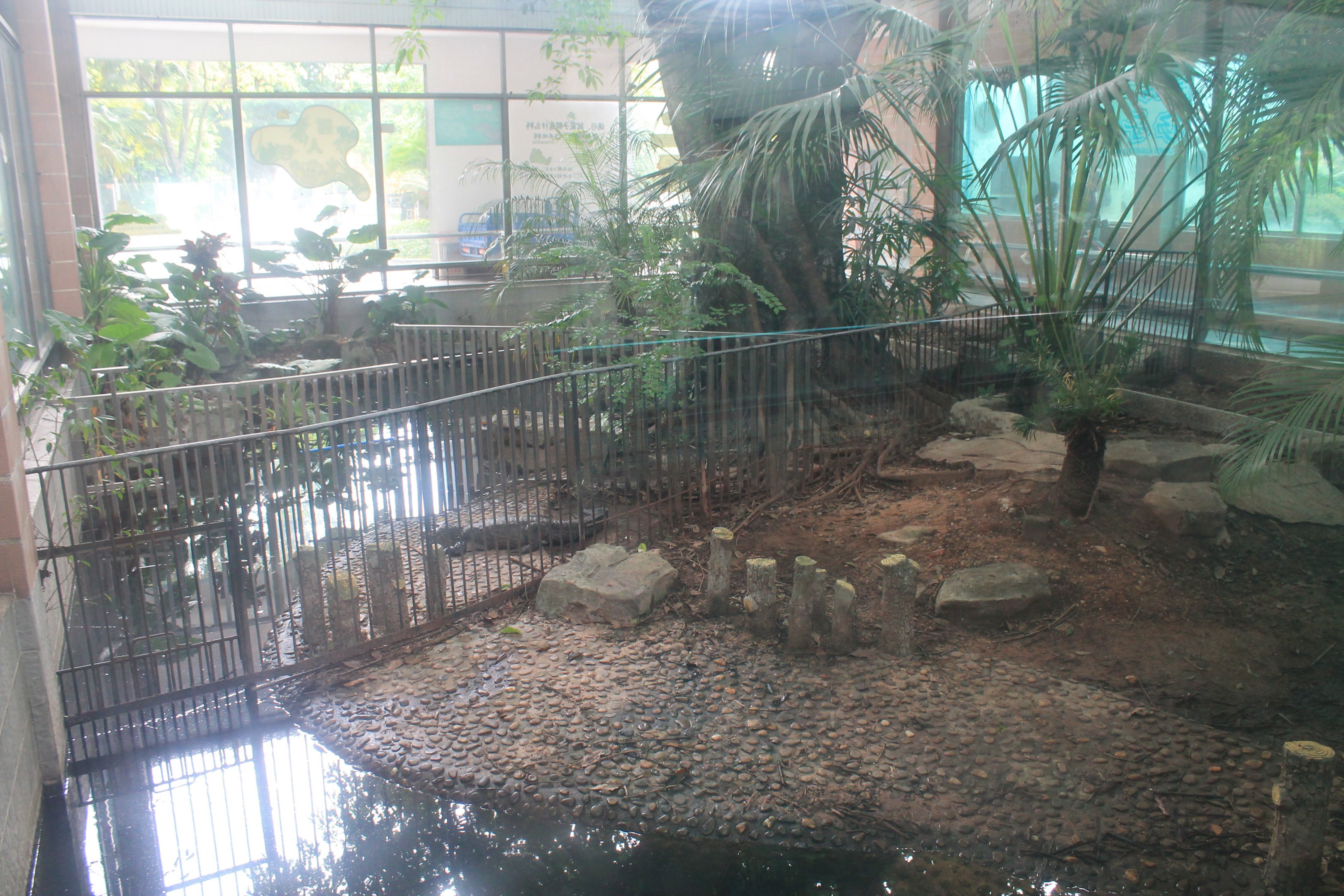 Enclosures for Chinese Alligators (Alligator sinensis)