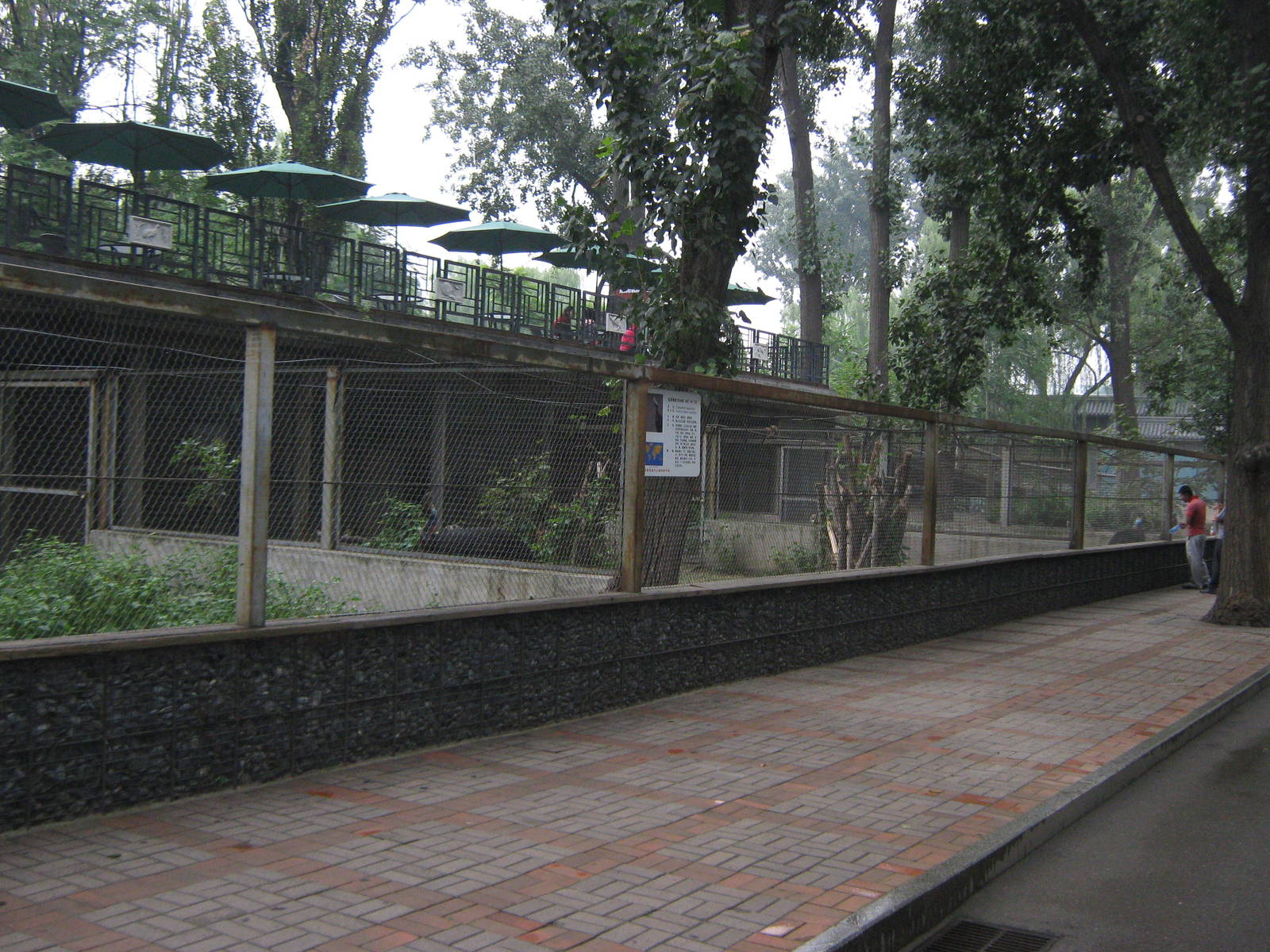 enclosures for common cassowaries