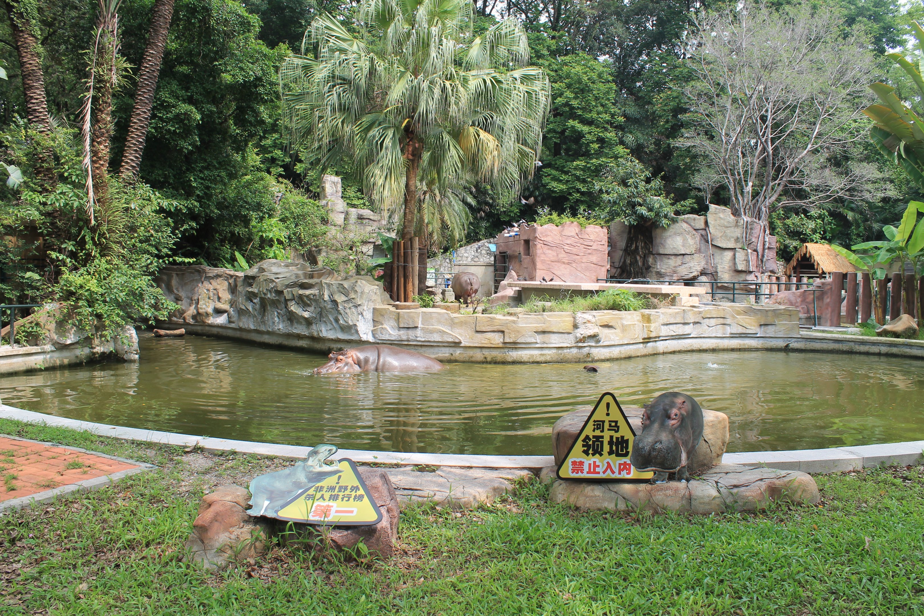 Enclosures for Common Hippopotamus (Hippopotamus amphibius)