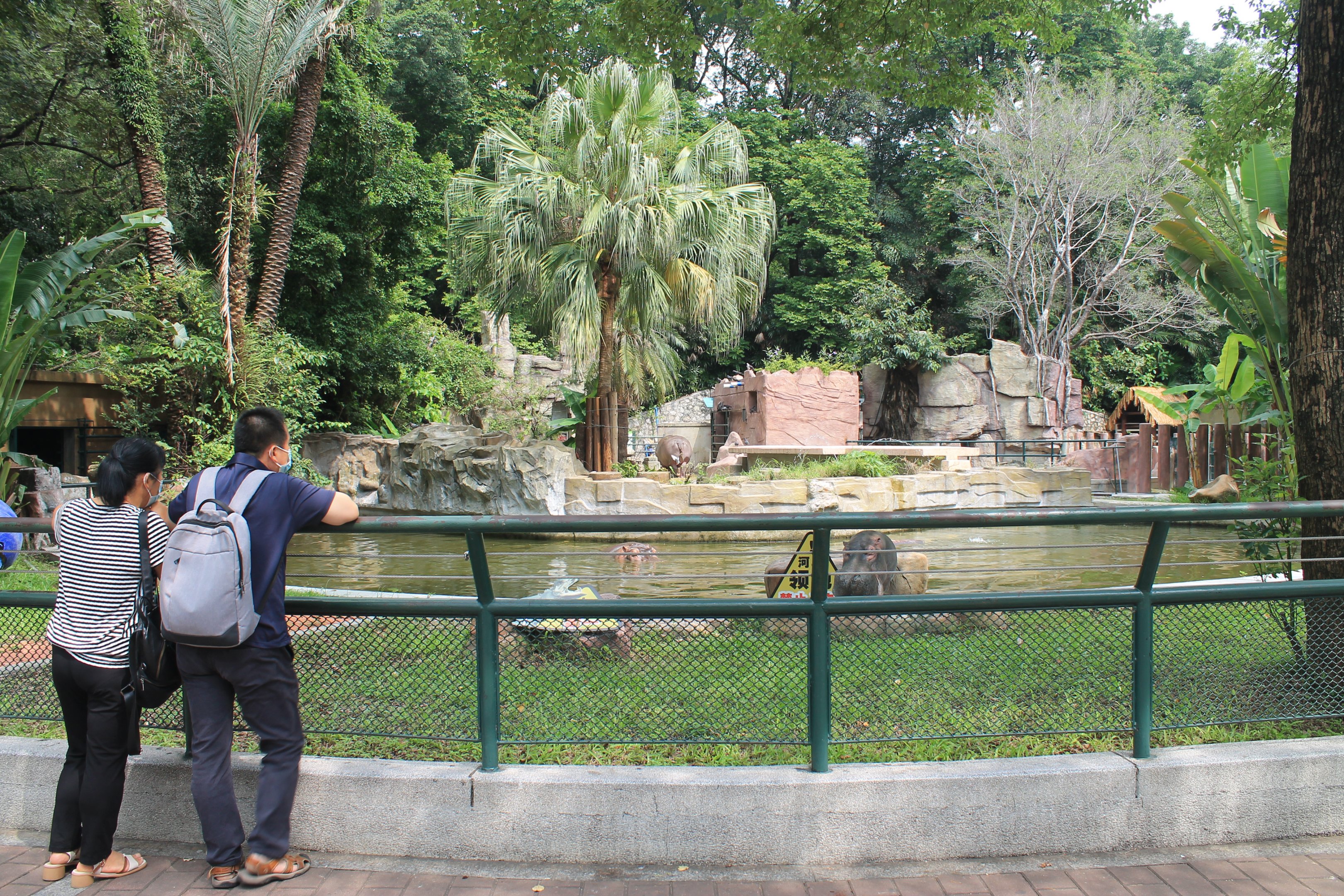 Enclosures for Common Hippopotamus (Hippopotamus amphibius)