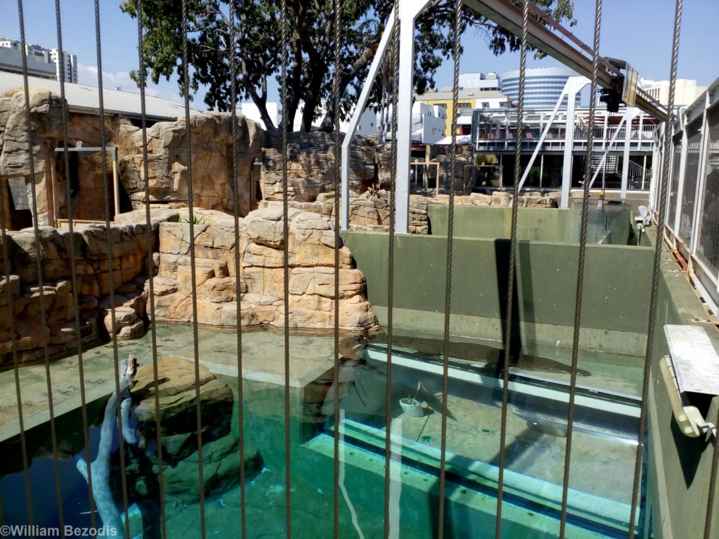 Enclosures for Large Crocodiles