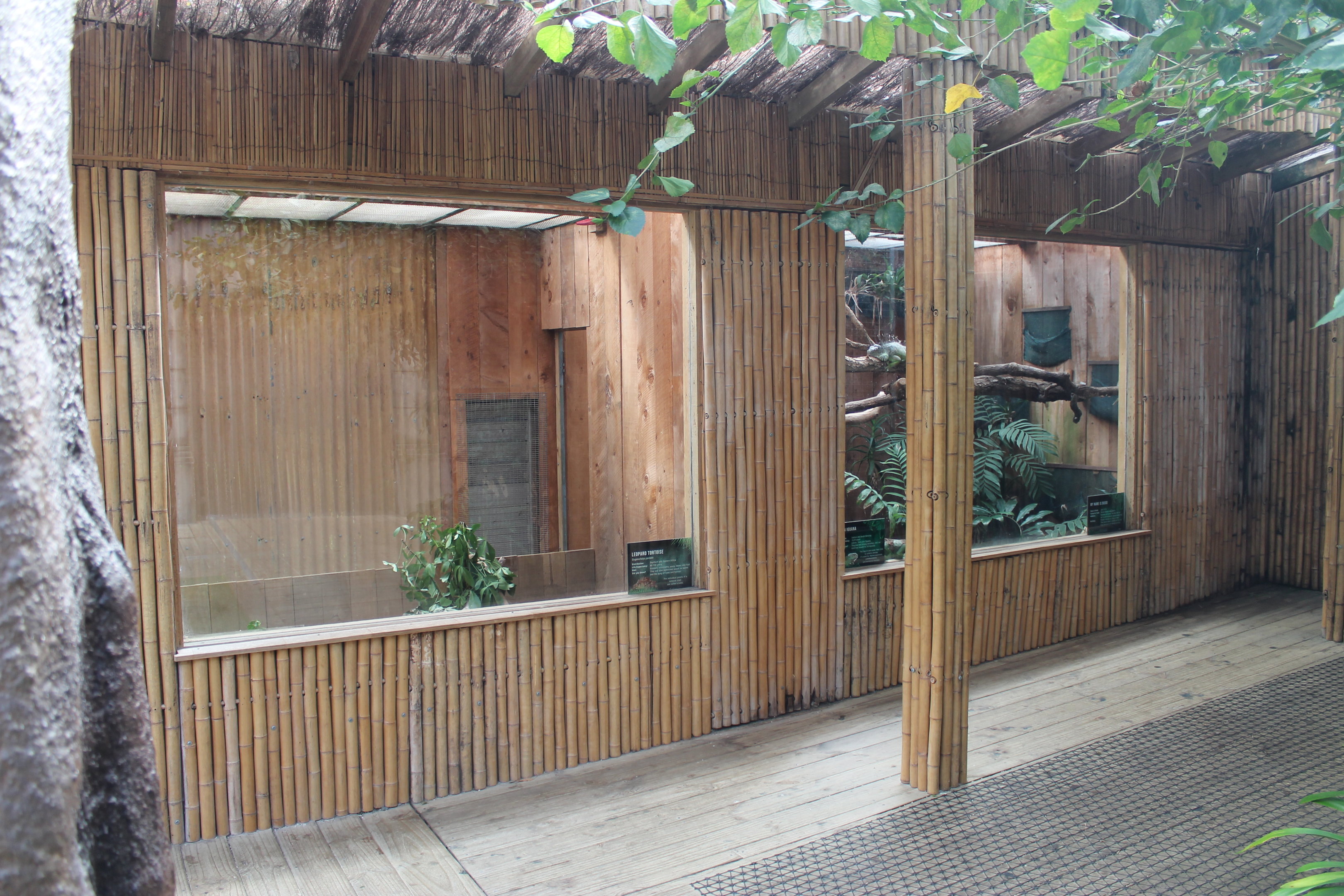 enclosures for Leopard Tortoises and Green Iguana