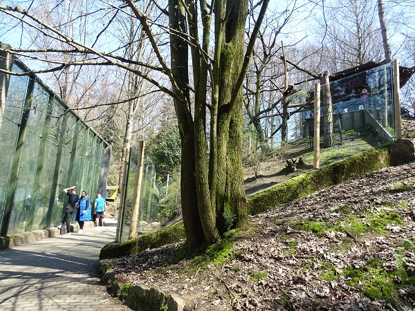 Enclosures for lions and red pandas (04/2023)