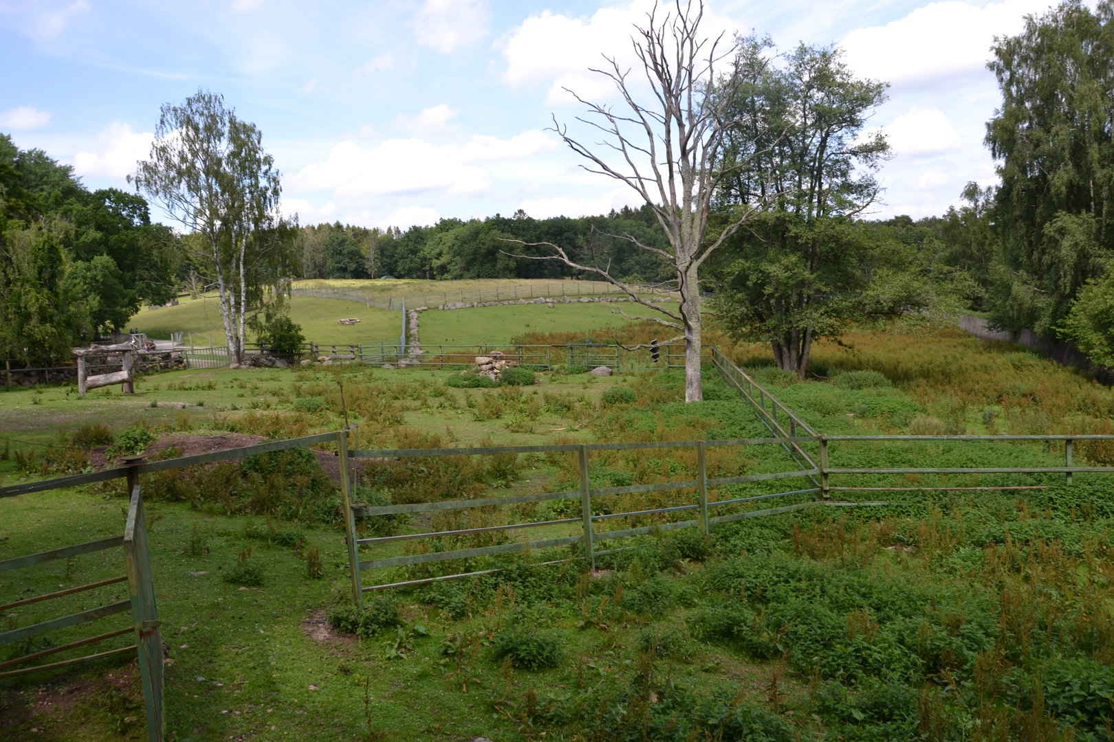 Enclosures for muskox at Skånes djurpark