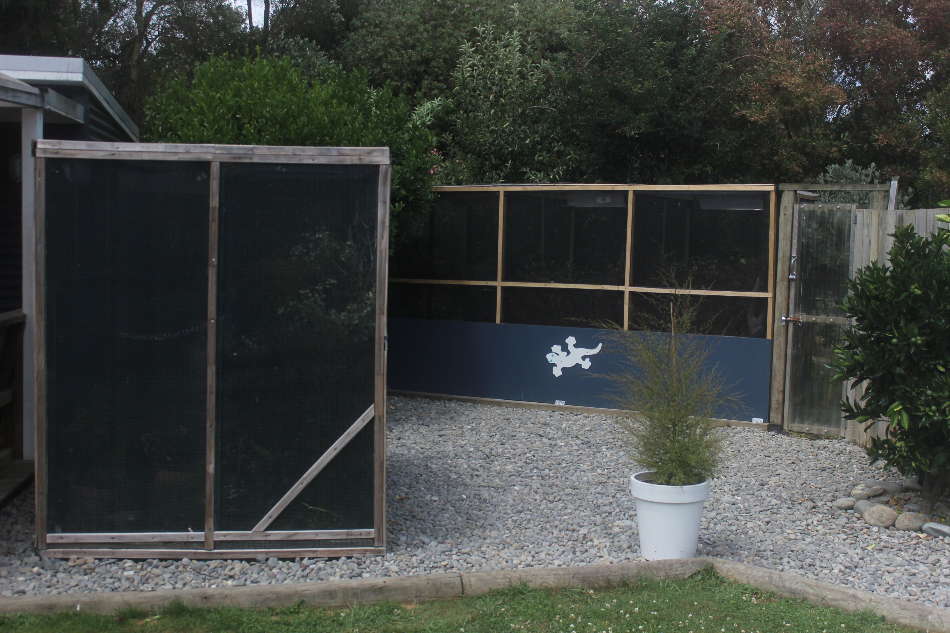 Enclosures for native geckos, Koru Native Wildlife Centre