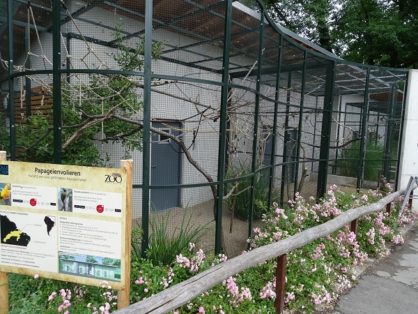 Enclosures for pygmy marmoset (front) and grey-breasted parakeets (back) (07/22)