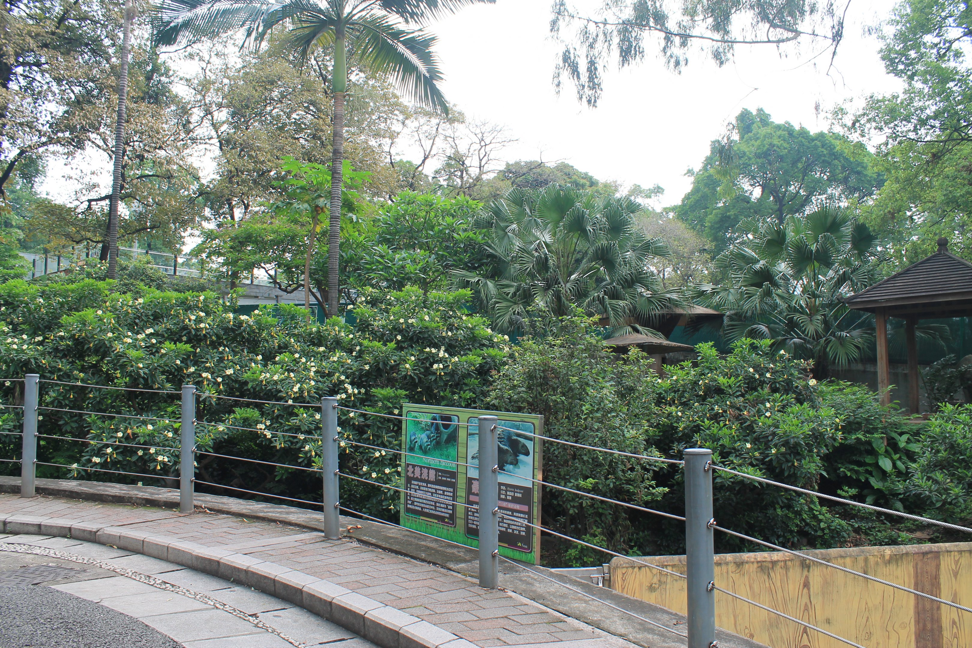 Enclosures for Raccoons and Himalayan Porcupines