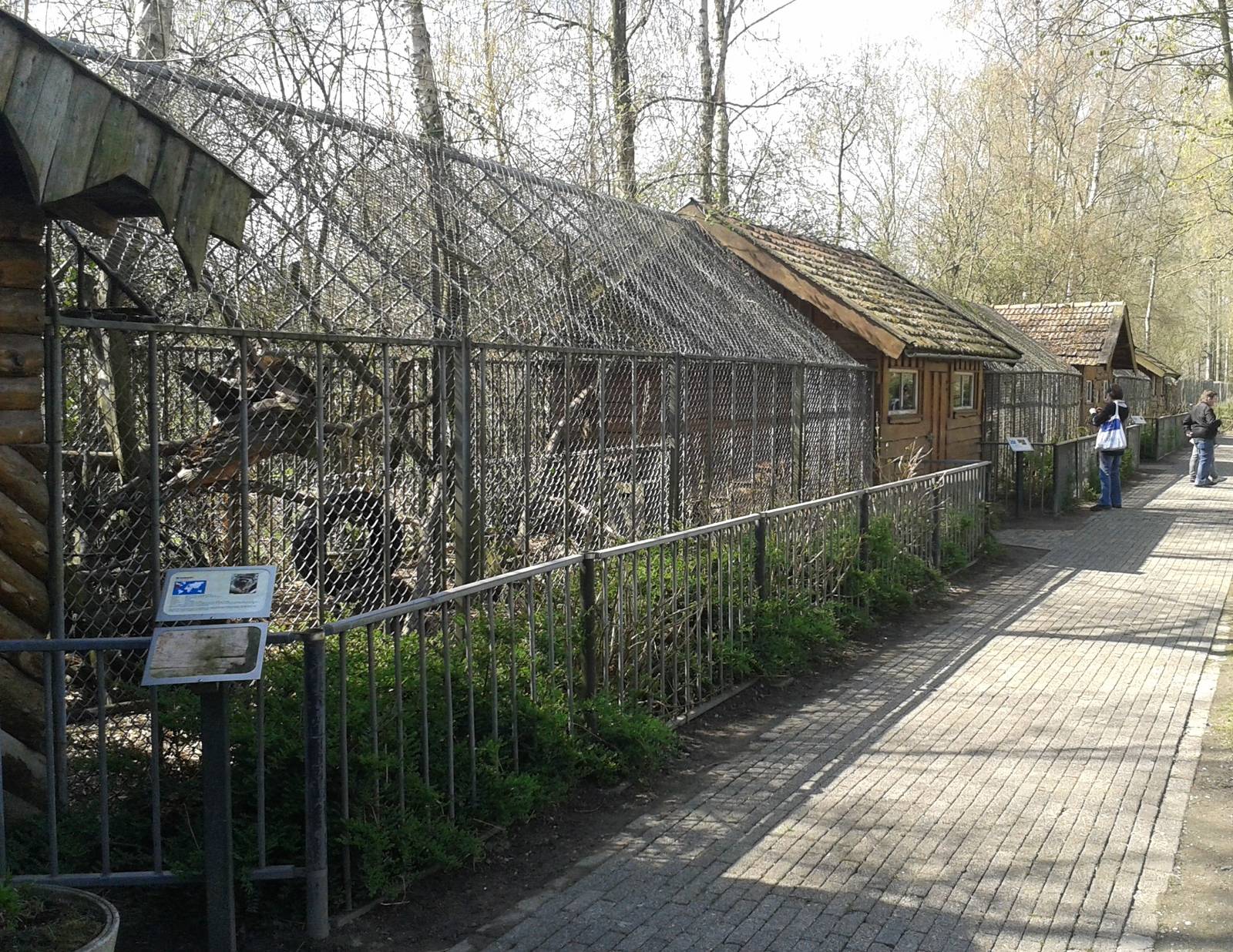 Enclosures for Raccoons, lynx and servals