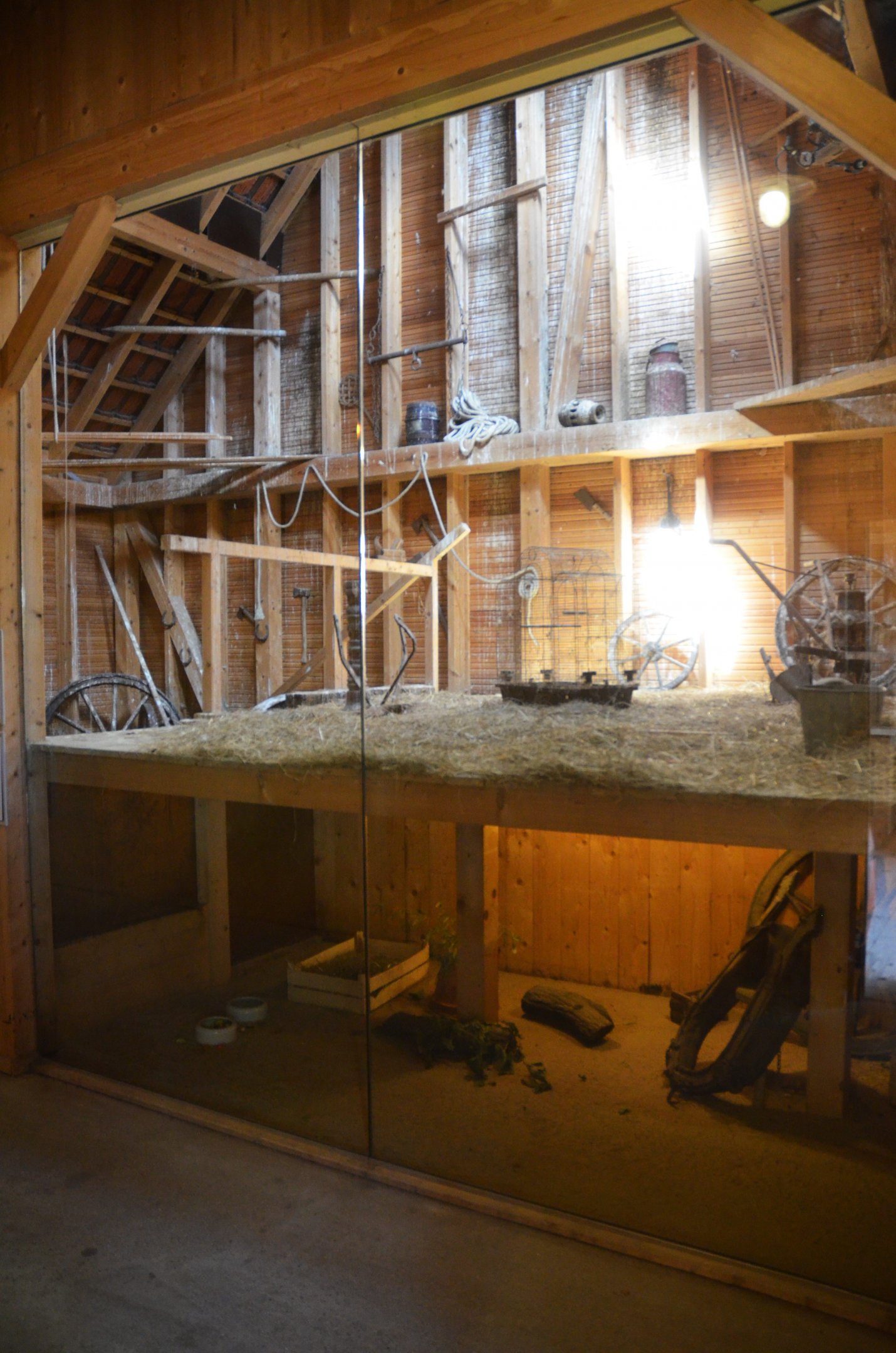 Enclosures for Rats and Barn Owls at Duisburg, 17/06/19