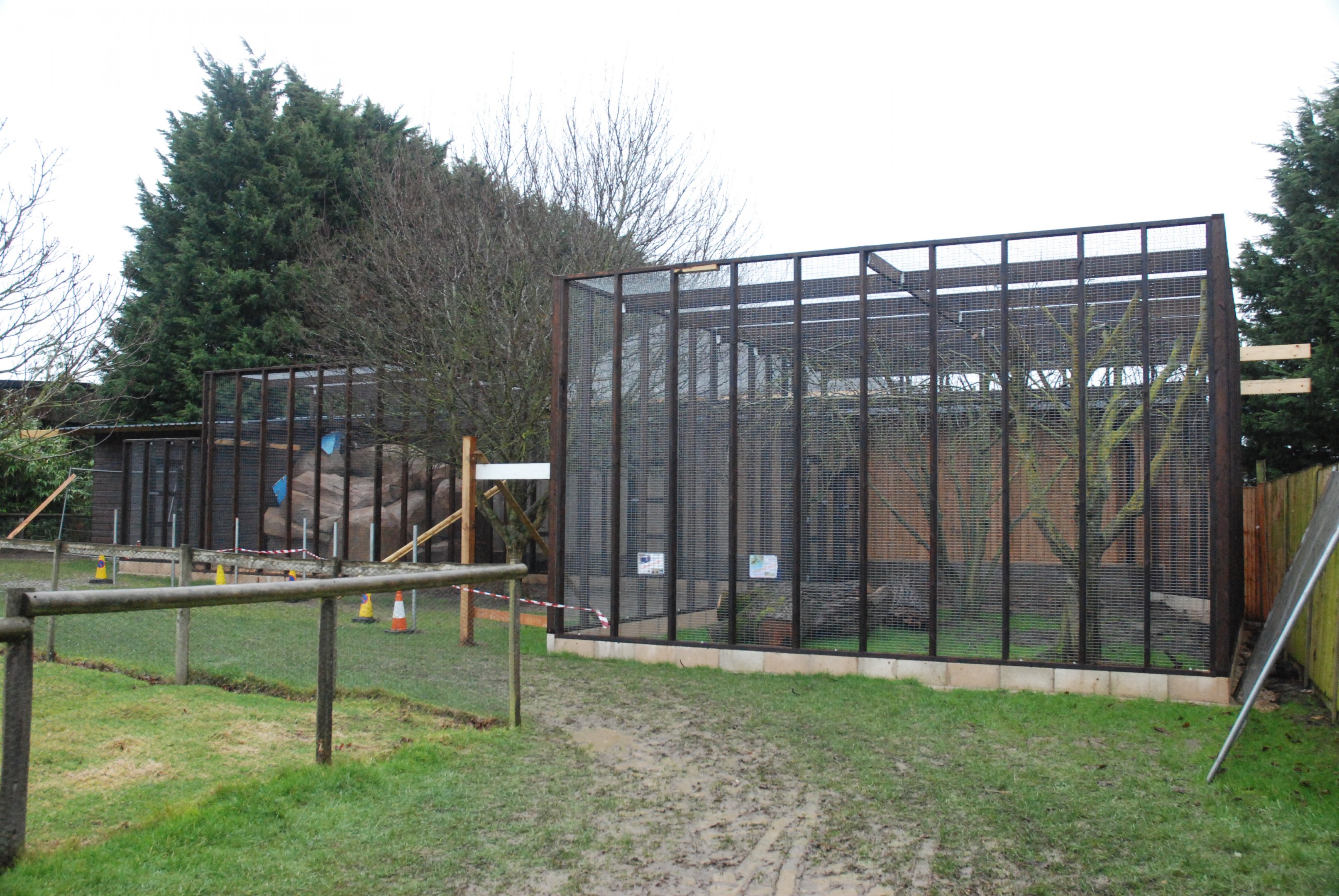 Enclosures for Skunk and Ringtail Nearing Completion at Hamerton, 19th February 2022