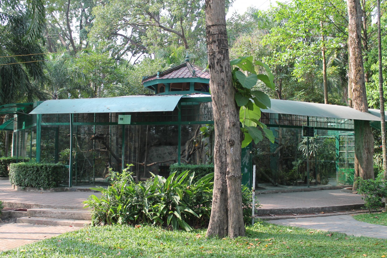 enclosures for small carnivores