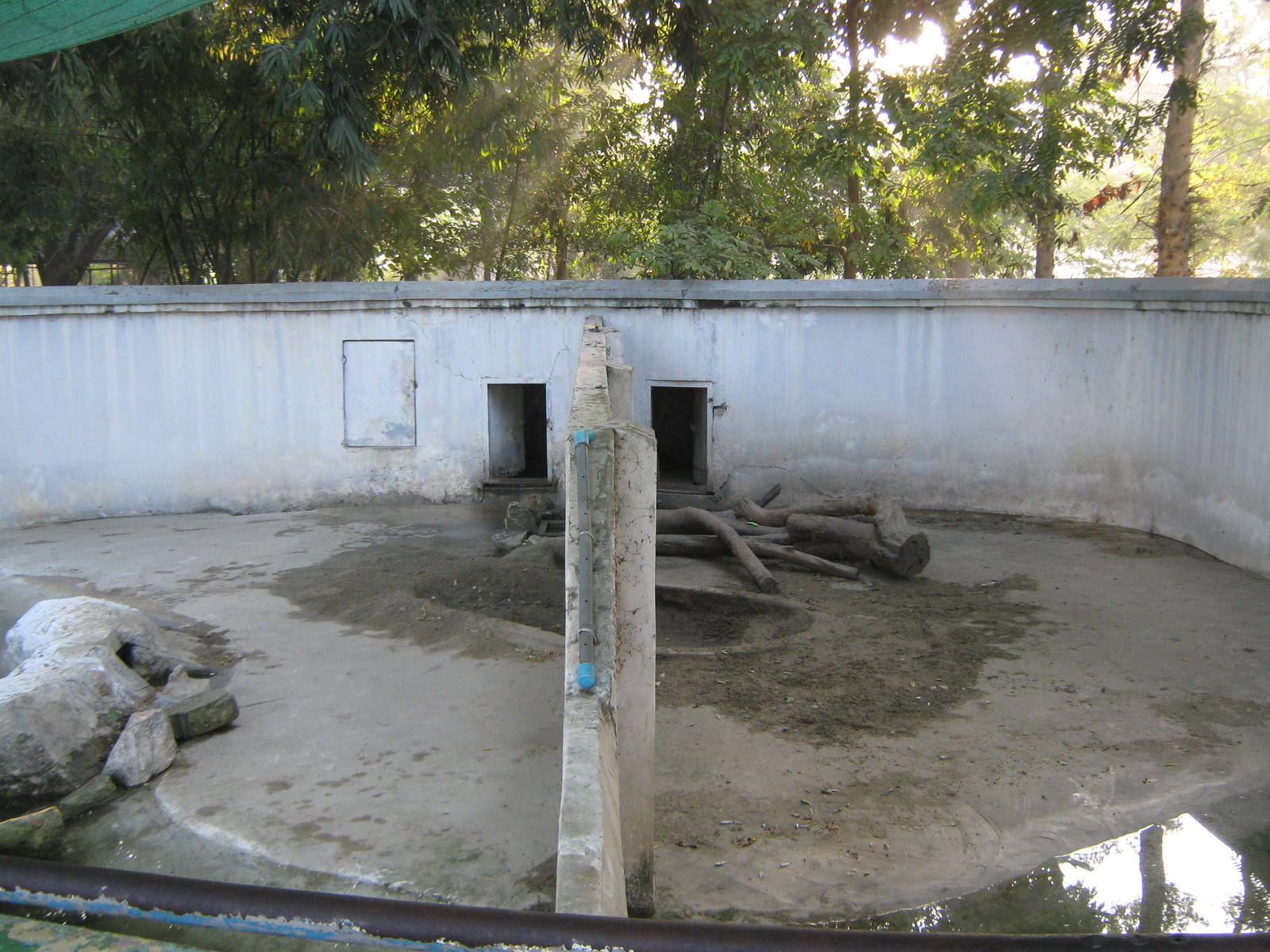 enclosures for Small-Clawed Otters (Aonyx cinerea)
