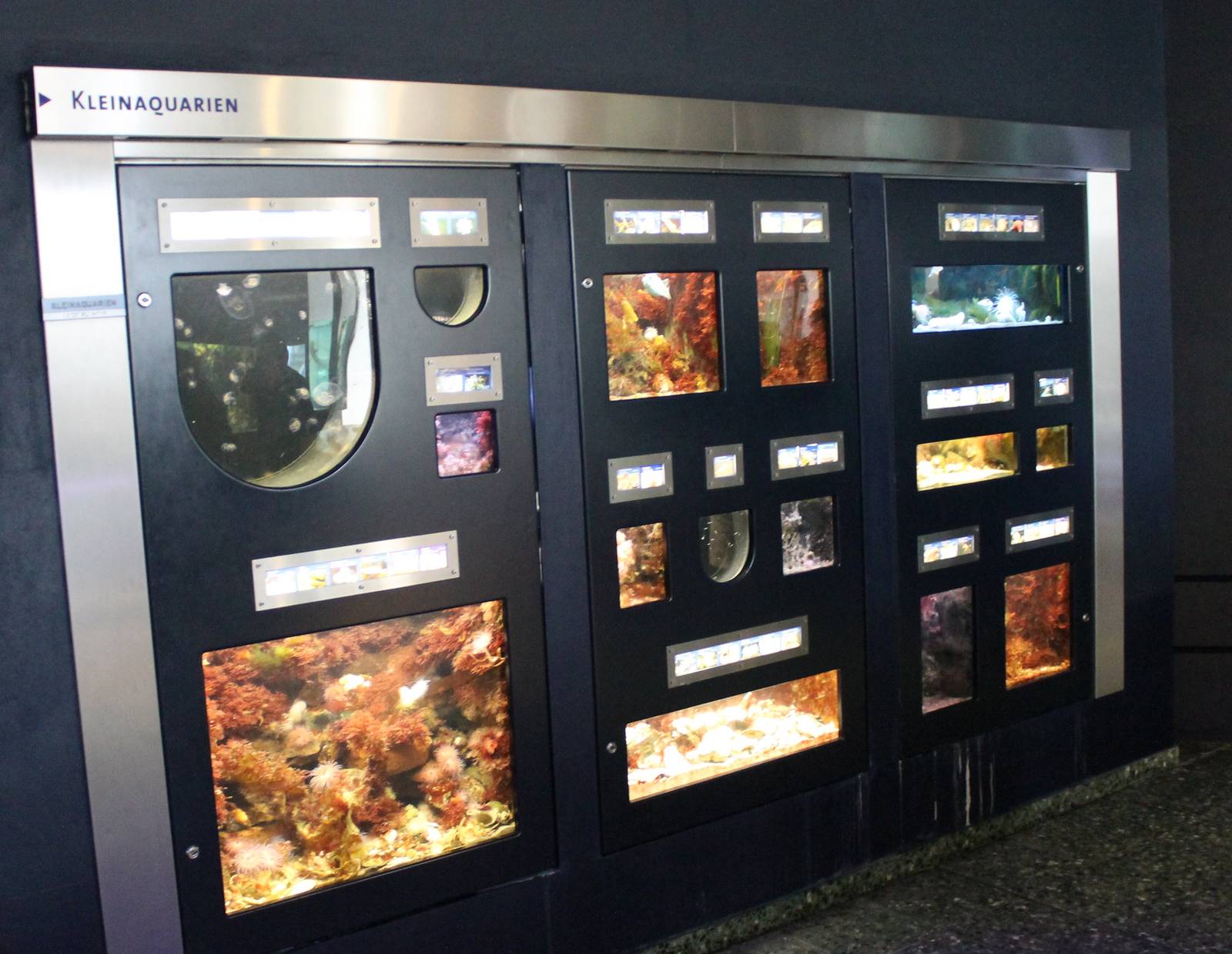 Enclosures for small sea-creatures