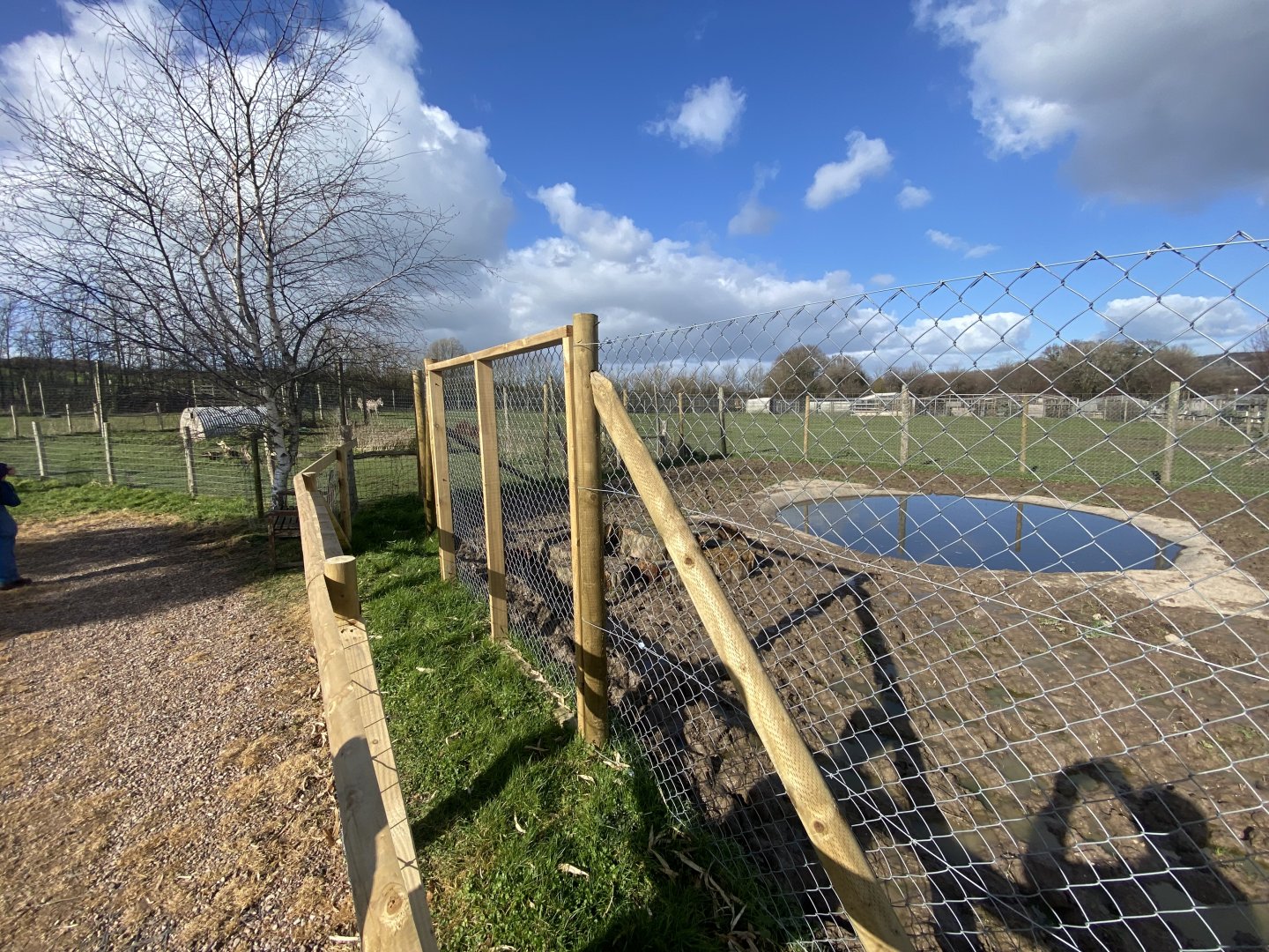 Enclosures for South American tapir and Patagonian mara 250222