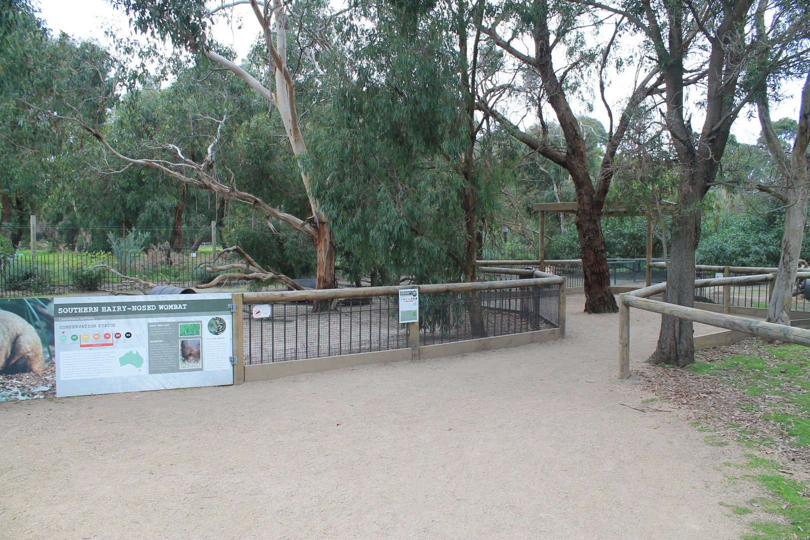enclosures for Southern Hairy-nosed Wombats