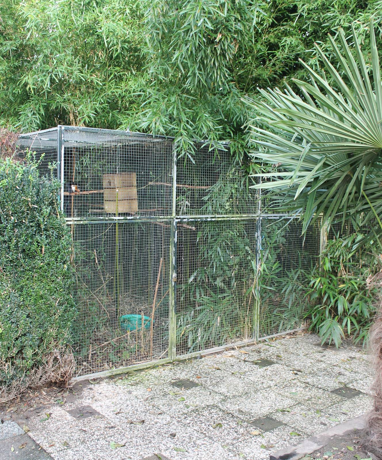 Enclosures for Squirrels and hornbills