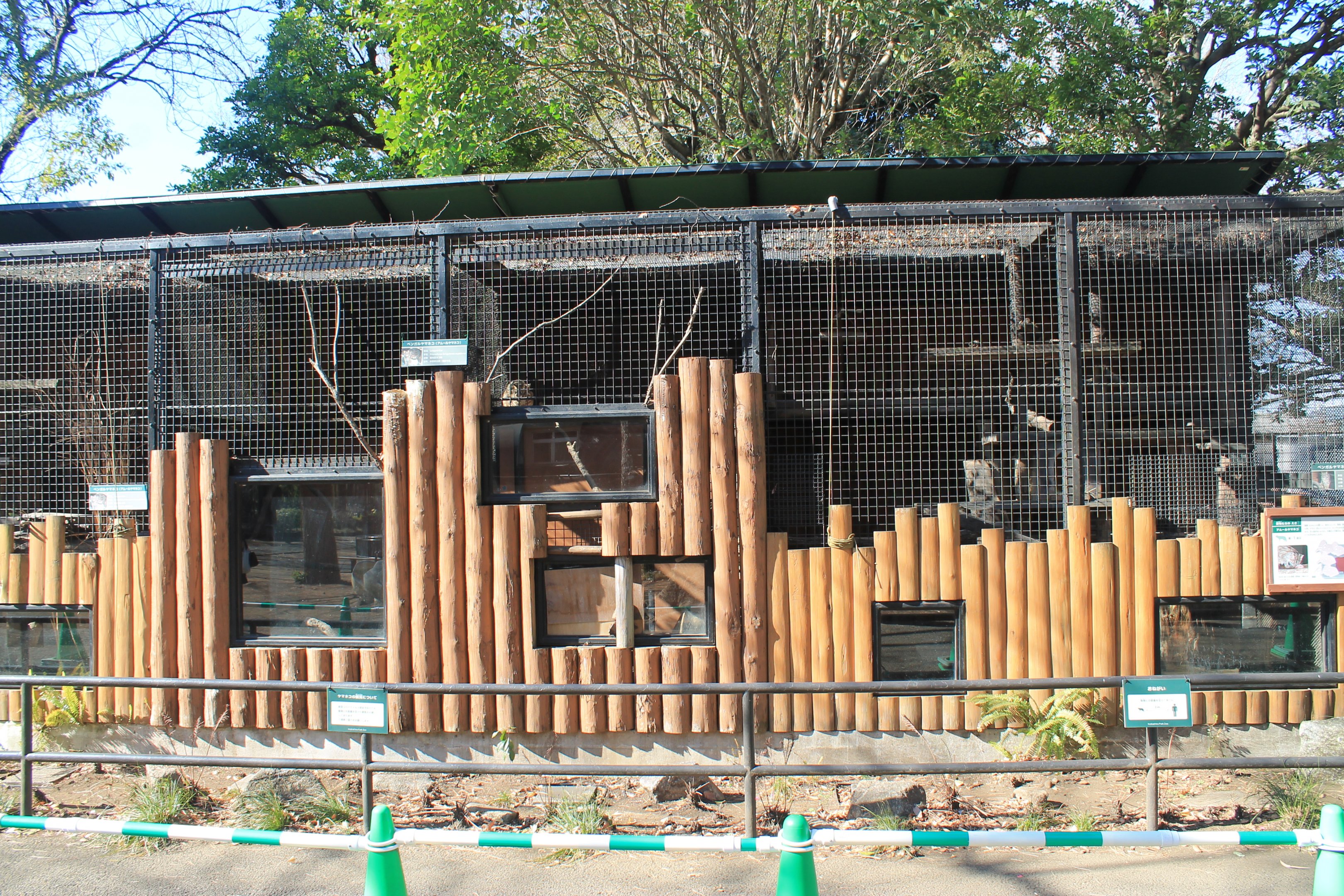 Enclosures for Tsushima Leopard Cats